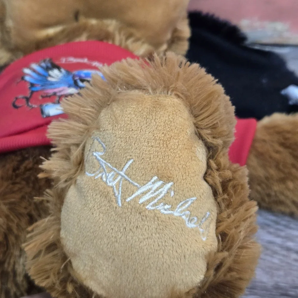 Bret Michaels bret michaels